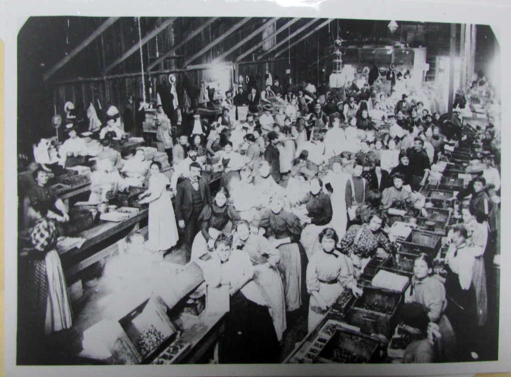 This photo, taken sometime in the 1890s, appeared in the April 28, 1968 issue of The Fresno Bee. The newspaper’s caption read:  “FIG PACKING—Gas lights illuminated the Seropian Packing Company plant during the fig packing season in the 1890s. The plant was on G Street (near Tulare Street).  It employed mostly women.  Mrs. Nartoohi Isakoolian of 3525 Ventura Avenue is among the women shown in the picture submitted by Dorothy Sergius of 3205 Balch Ave. Seth Davidian was the plant foreman…” (Photo Courtesy of the Armenian Studies Program, Fresno State).